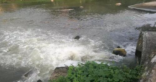 資料圖：市污水處理廠大量污水溢流至萍水河。 圖片來(lái)源：生態(tài)環(huán)境部