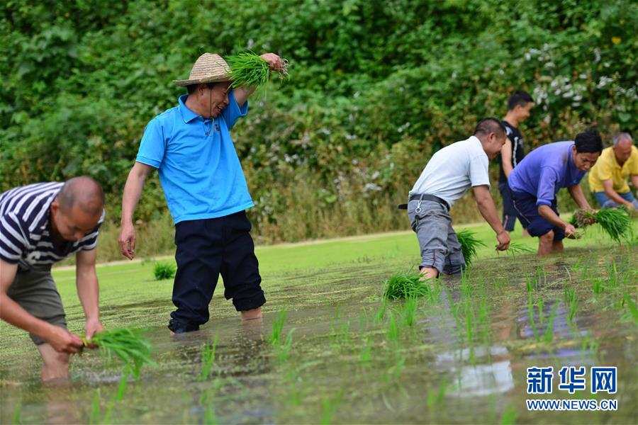 （新華全媒頭條·圖文互動(dòng)）（8）干部去哪兒了？——貴州干部大規(guī)模下沉脫貧攻堅(jiān)一線(xiàn)紀(jì)實(shí)