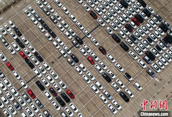 資料圖：航拍在上海外高橋港區(qū)海通汽車(chē)碼頭等待出口的整車(chē)。殷立勤 攝
