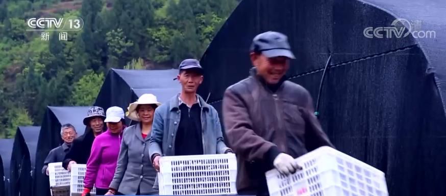 點(diǎn)擊進(jìn)入下一頁