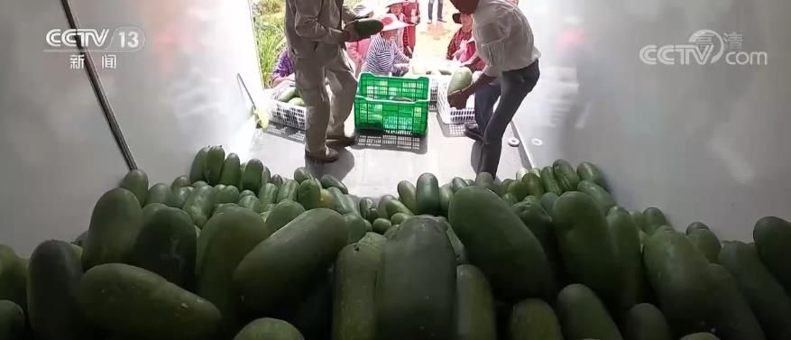 點(diǎn)擊進(jìn)入下一頁